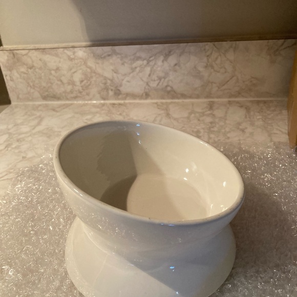 Double-Sided Ceramic
Elevated Cat Bowl - Picture 11 of 13